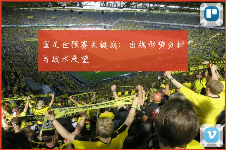 国足世预赛关键战：出线形势分析与战术展望