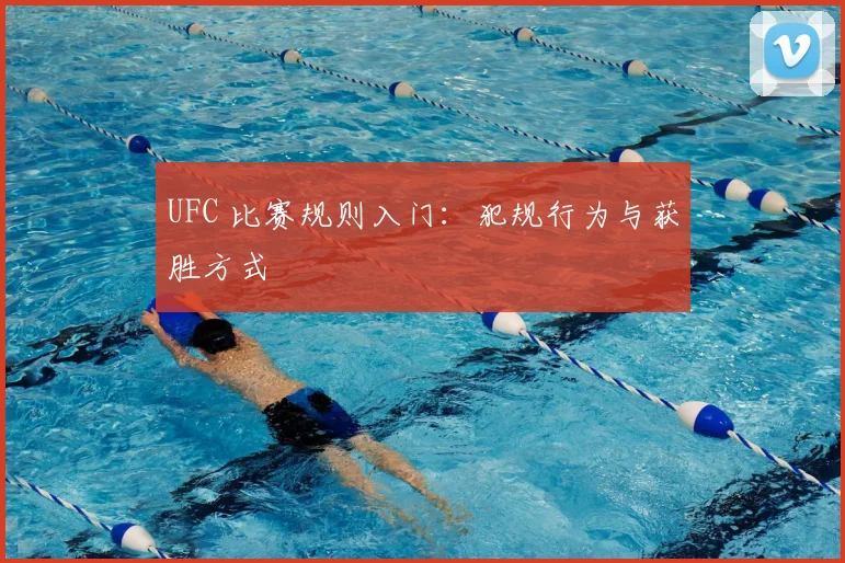 UFC 比赛规则入门:犯规行为与获胜方式